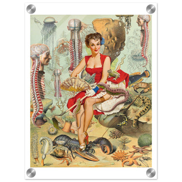 Under The Sea Reptile Butcher Shop Acrylic Print - Spork Fine Art USA