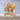 b7d09bae-3b39-4d68-bd69-d5ca0d2c3bce