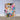763ca5be-e98a-4883-b1e5-efafb98a055a