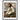 Maneater Wooden Framed Print - Spork Fine Art USA